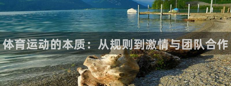 一竞技官方正版app集团官网首页网址:体育运动的本质:从规则